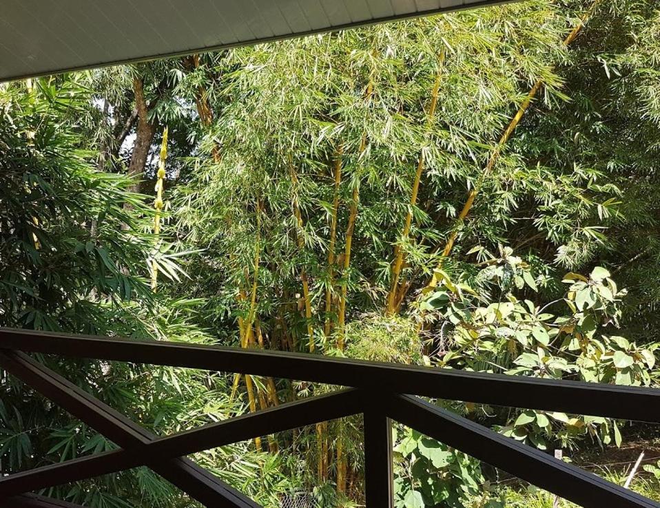Magic Mountain Lodge ลาสลาคัส ภายนอก รูปภาพ