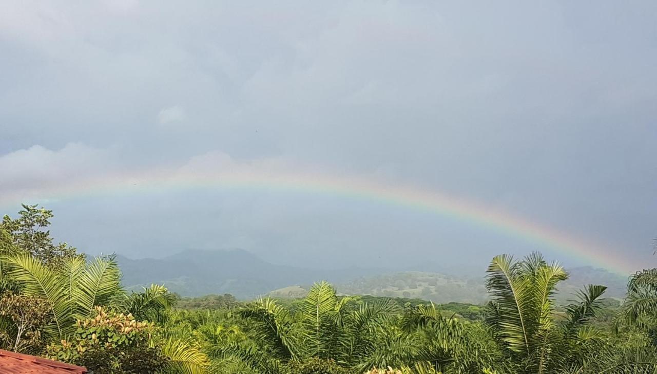 Magic Mountain Lodge ลาสลาคัส ภายนอก รูปภาพ