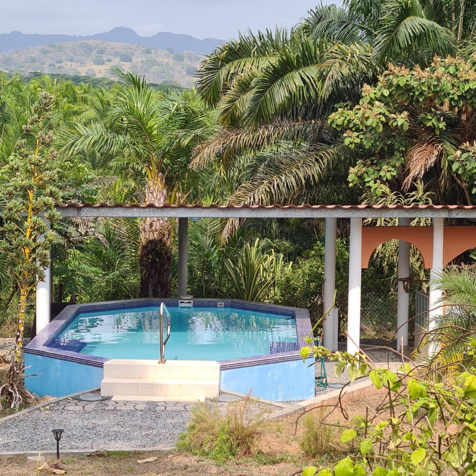 Magic Mountain Lodge ลาสลาคัส ภายนอก รูปภาพ